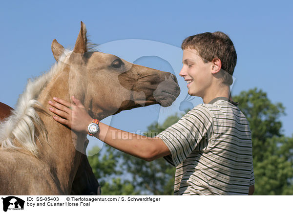Junge und Quarter Horse Fohlen / boy and Quarter Horse Foal / SS-05403