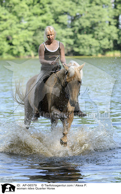 Frau reitet Quarter Horse / woman rides Quarter Horse / AP-06579