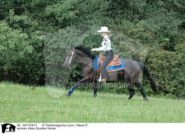 Frau reitet Quarter Horse / woman rides Quarter Horse / AP-07817