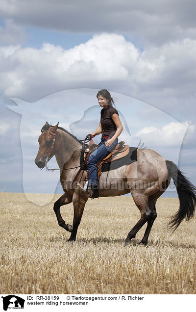 western riding horsewoman / RR-38159