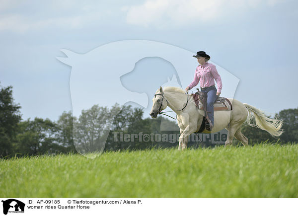 Frau reitet Quarter Horse / woman rides Quarter Horse / AP-09185