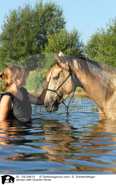 Frau mit Quarter Horse / woman with Quarter Horse / SS-28814