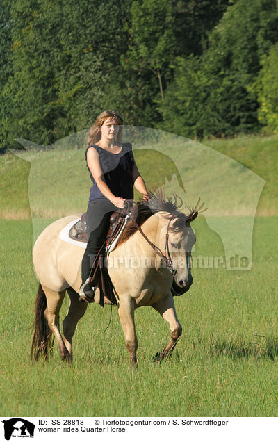 Frau reitet Quarter Horse / woman rides Quarter Horse / SS-28818