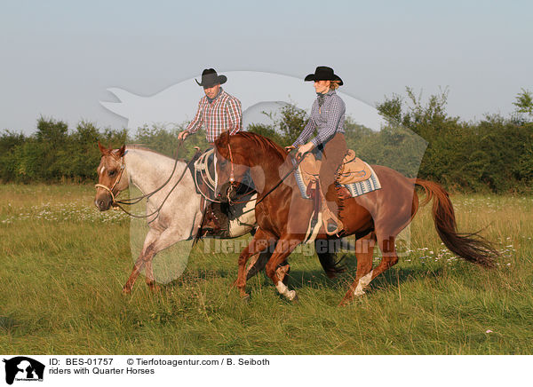 Reiter mit Quarter Horses / riders with Quarter Horses / BES-01757