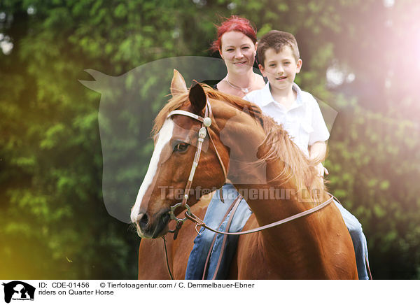 Reiter auf Quarter Horse / riders on Quarter Horse / CDE-01456
