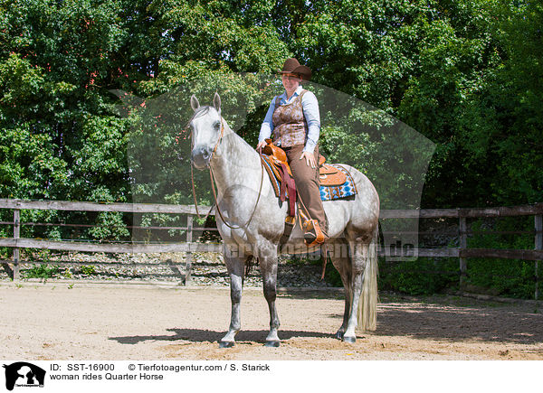 Frau reitet Quarter Horse / woman rides Quarter Horse / SST-16900