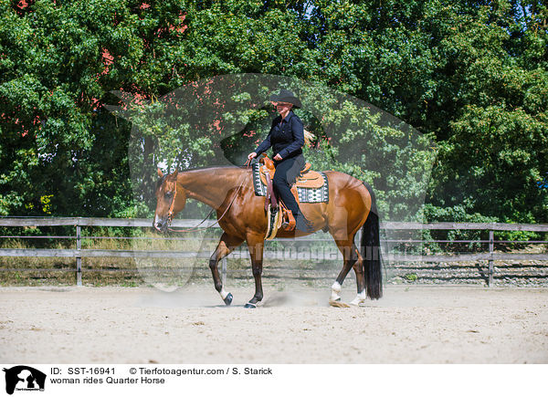 Frau reitet Quarter Horse / woman rides Quarter Horse / SST-16941