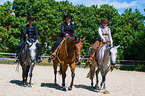 western riders with horses