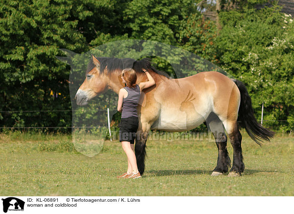 Frau und Rheinisch Deutsches Kaltblut / woman and coldblood / KL-06891