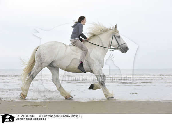 Frau reitet Rheinisch Deutsches Kaltblut / woman rides coldblood / AP-08633