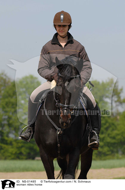 Frau reitet Rheinlnder / woman rides horse / NS-01485