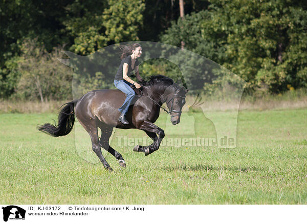 Frau reitet Rheinlnder / woman rides Rhinelander / KJ-03172