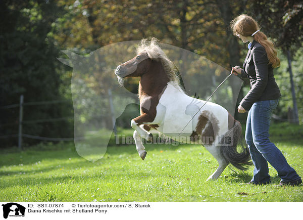 Diana Krischke mit Shetland Pony / Diana Krischke mit Shetland Pony / SST-07874