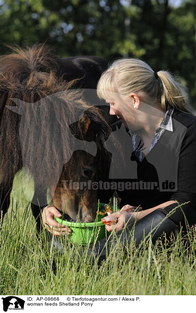 Frau fttert Shetland Pony / woman feeds Shetland Pony / AP-08668
