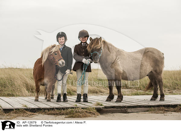 Kinder mit Shetland Ponies / kids with Shetland Ponies / AP-12679