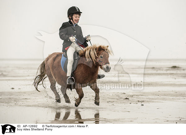 Junge reitet Shetland Pony / boy rides Shetland Pony / AP-12692