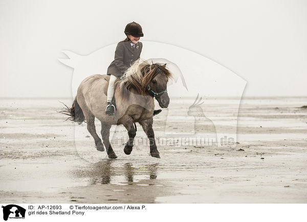 Mdchen reitet Shetland Pony / girl rides Shetland Pony / AP-12693