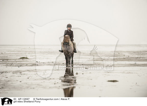 Mdchen reitet Shetland Pony / girl rides Shetland Pony / AP-12697