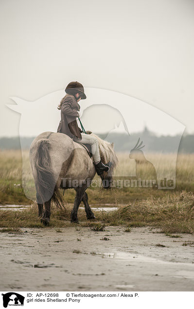 Mdchen reitet Shetland Pony / girl rides Shetland Pony / AP-12698