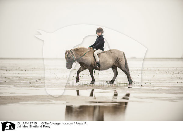 Mdchen reitet Shetland Pony / girl rides Shetland Pony / AP-12715