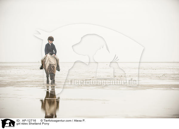 Mdchen reitet Shetland Pony / girl rides Shetland Pony / AP-12716