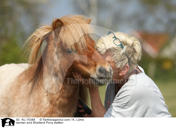 Frau und Shetland Pony Hengst / woman and Shetland Pony stallion / KL-15388