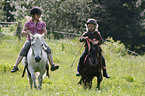 kids with Shetland Ponys