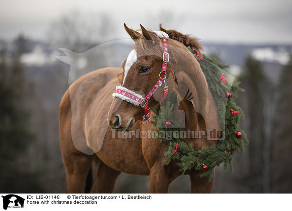 Pferd mit Weihnachtsdeko / horse with christmas decoration / LIB-01148