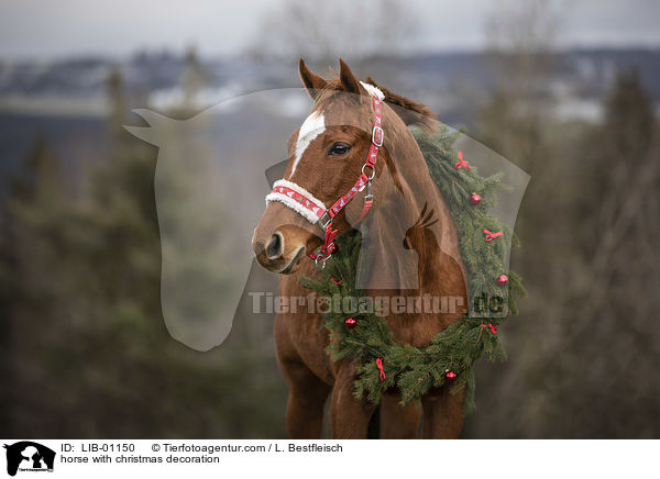 Pferd mit Weihnachtsdeko / horse with christmas decoration / LIB-01150