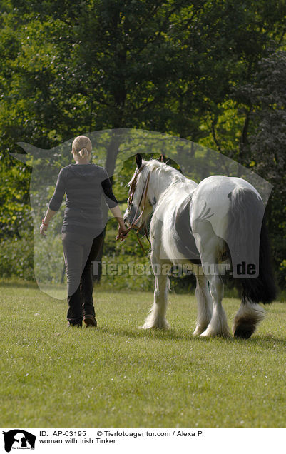 Frau mit Tinker / woman with Irish Tinker / AP-03195