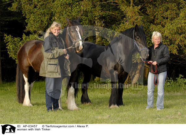 woman with Irish Tinker / AP-03457