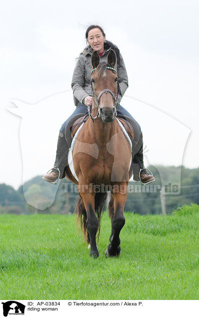 Freizeitreiten / riding woman / AP-03834