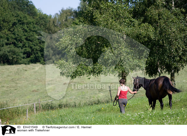 Frau fhrt Trakehner / woman with Trakehner / EH-01549