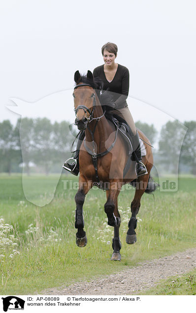 Frau reitet Trakehner / woman rides Trakehner / AP-08089