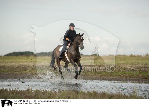 Frau reitet Trakehner / woman rides Trakehner / AP-12285