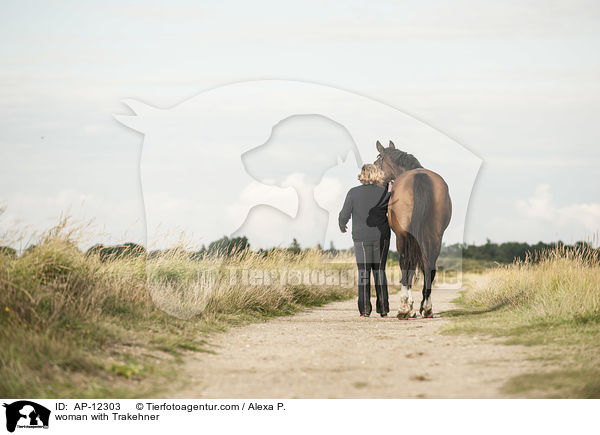 Frau mit Trakehner / woman with Trakehner / AP-12303