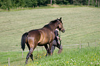 woman with Trakehner