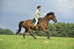 woman rides Trakehner