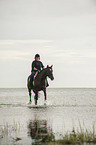 woman rides Trakehner