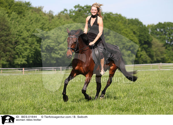 Frau reitet Traber / woman rides trotter / BES-01644