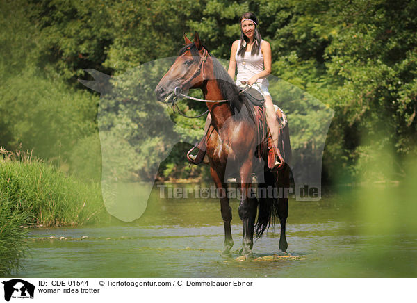 Frau reitet Traber / woman rides trotter / CDE-01544