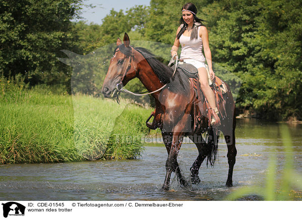 Frau reitet Traber / woman rides trotter / CDE-01545