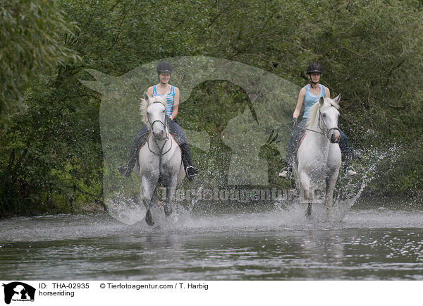 horseriding / THA-02935