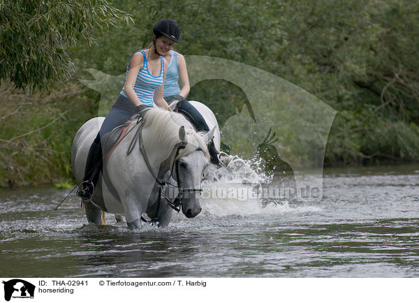 horseriding / THA-02941