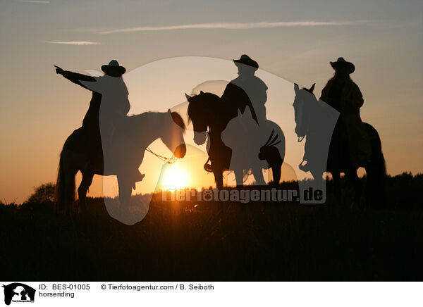 horseriding / BES-01005