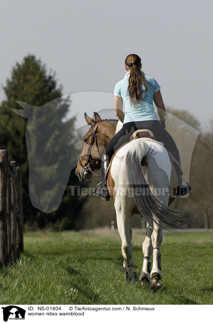 woman rides warmblood / NS-01804