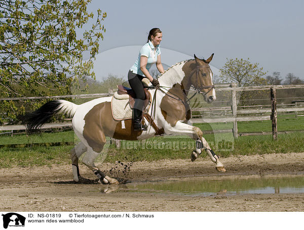 woman rides warmblood / NS-01819