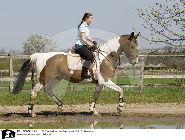 woman rides warmblood / NS-01828