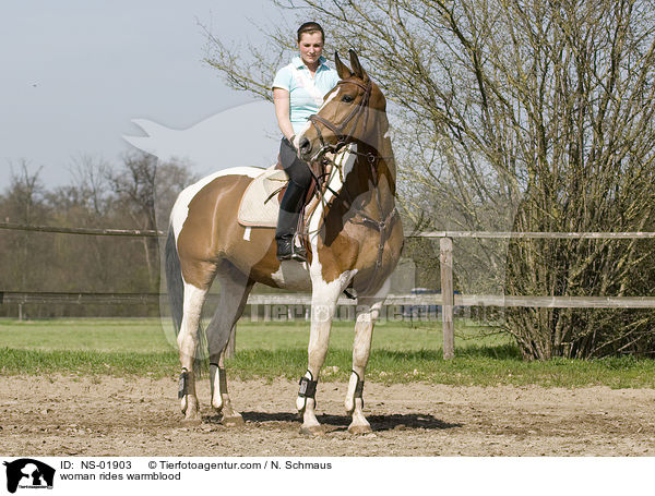 Frau reitet Warmblut / woman rides warmblood / NS-01903