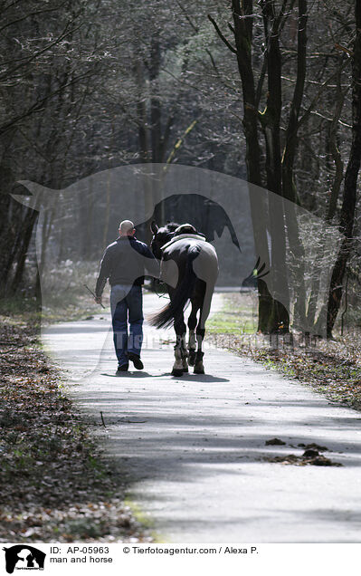 Pferd fhren / man and horse / AP-05963